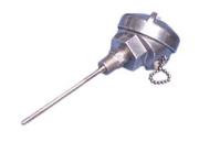 RTD probe with Terminal Head