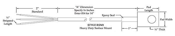 RSM1-Heavy-Duty-Surface-Mount-RTD