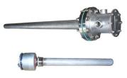 Pipe Insert (Drywell) Heaters