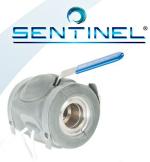 Sentinel-2